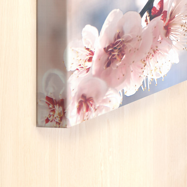 Custom Canvas Prints